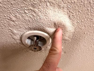About Suffolk Black Mold Removal - black mold removal experts in Suffolk