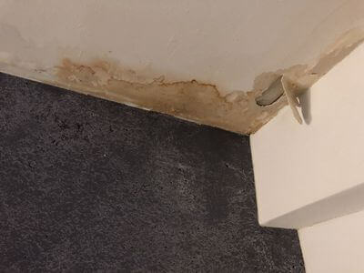 Professional black mold removal services in Suffolk - Suffolk Black Mold Removal